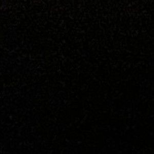 Meet your Posher, Leonardo maya